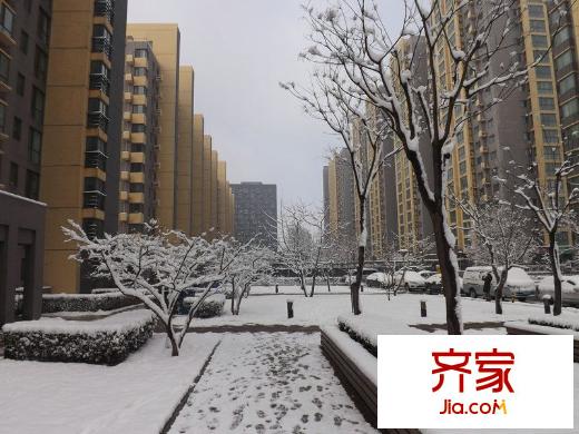 远洋自然外景图