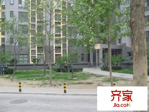远洋自然外景图