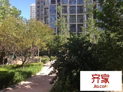 天鹅湾外景图