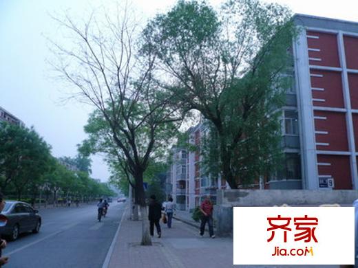 东风北里外景图