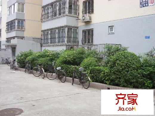 知春路82号院外景图小区道路