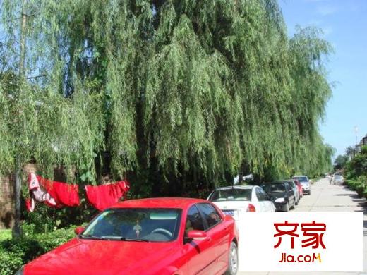 世豪花园外景图楼盘图