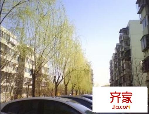新安里小区外景图