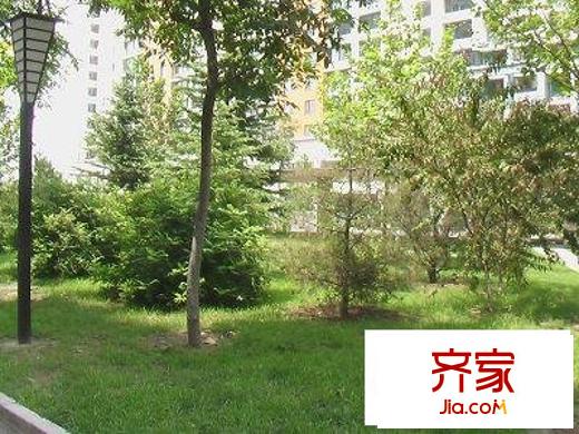 腾龙家园外景图绿化