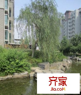 水墨林溪园林2012.6