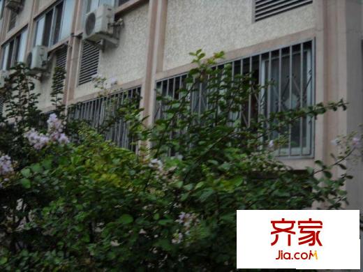 曙光花园望塔园外景图楼盘图