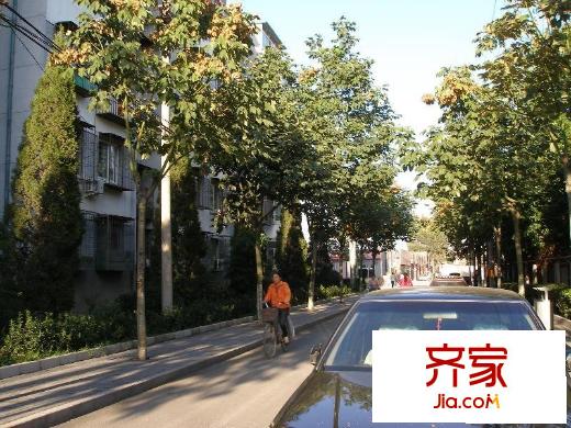 望园西里外景图楼盘图