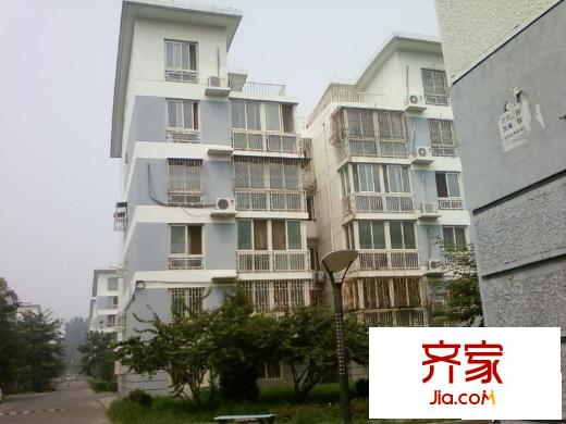 建材城东一里外景图楼座图