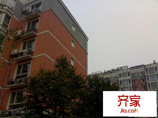 丽园A区外景图楼座图