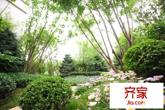 合生摩尔公馆园林2014.9