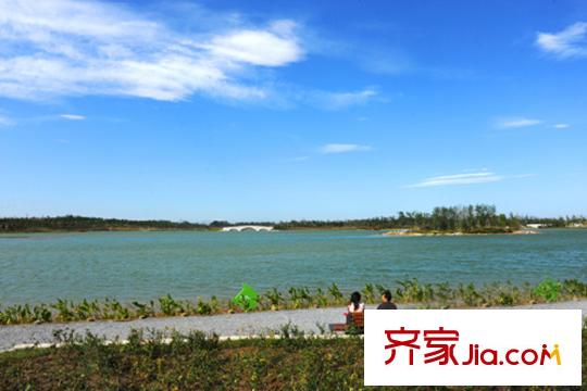 合生摩尔公馆周边配套-南海子公园