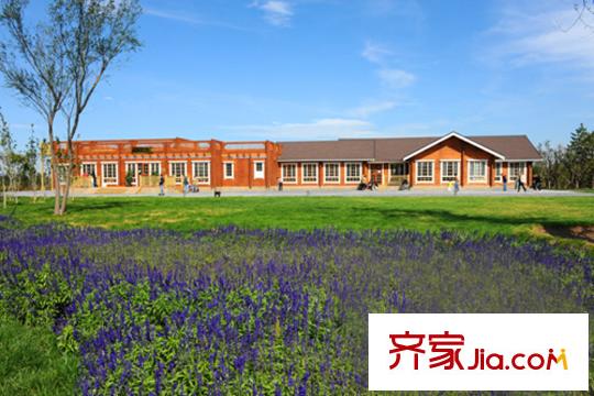 合生摩尔公馆周边配套-南海子公园