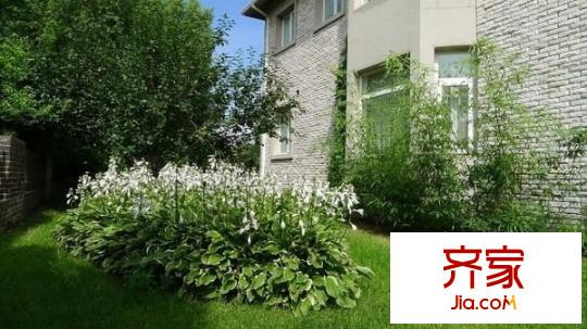 九臺(tái)莊園外景圖 