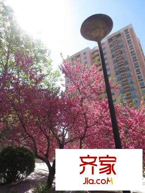 曙光花园望山园外景图