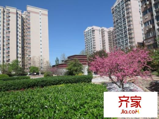 曙光花园望山园外景图