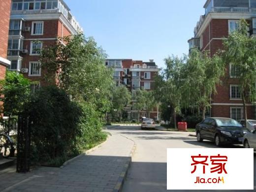森林大第外景图