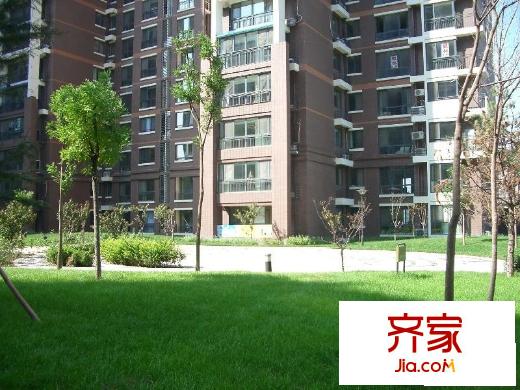 金汉绿港外景图绿化