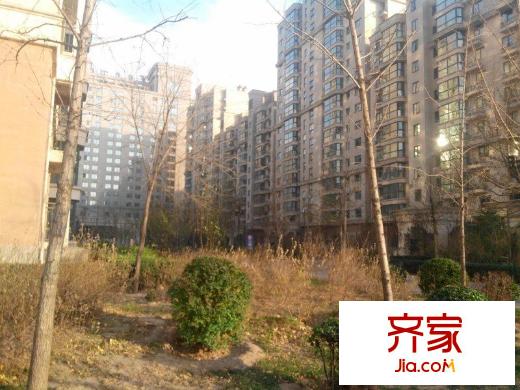 珠江罗马嘉园二期外景图