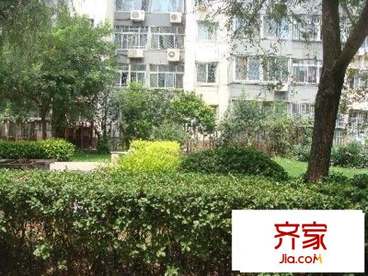 慧龙居外景图小区绿化