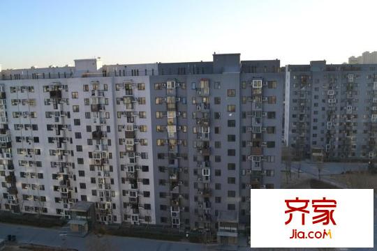 苹果派外景图