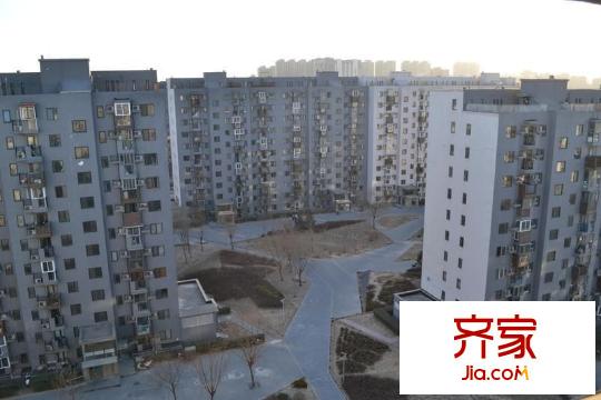 苹果派外景图
