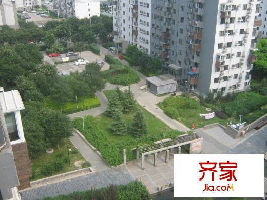 苹果派外景图
