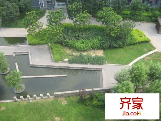 苹果派外景图