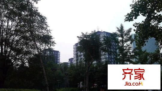 双榆树西里外景图