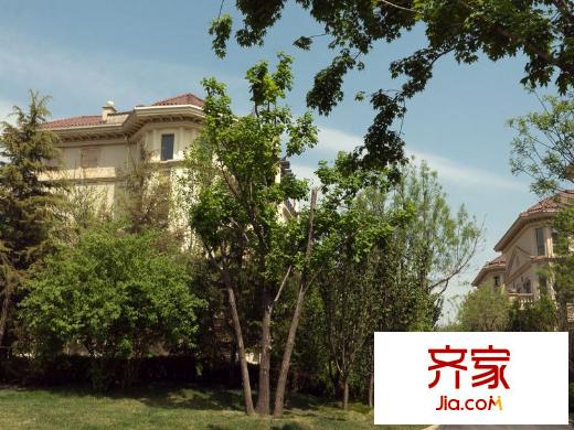 珠江?紫宸山樓體實(shí)景圖201305