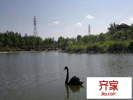 天鹅堡项目人工湖2013.05