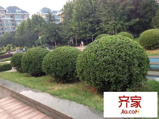 星岛假日外景图
