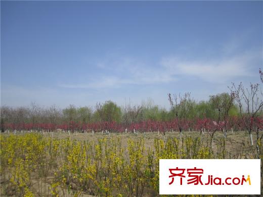 合生滨江帝景周边配套-运河公园