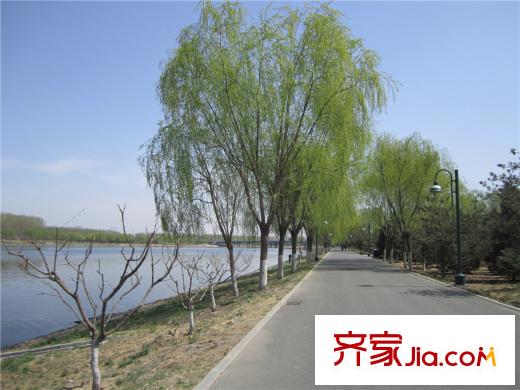 合生滨江帝景周边配套-运河公园