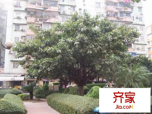 合兴苑外景图