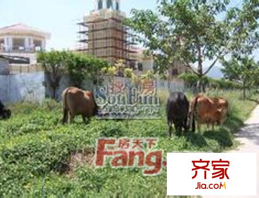 水岸綠苑外景圖 