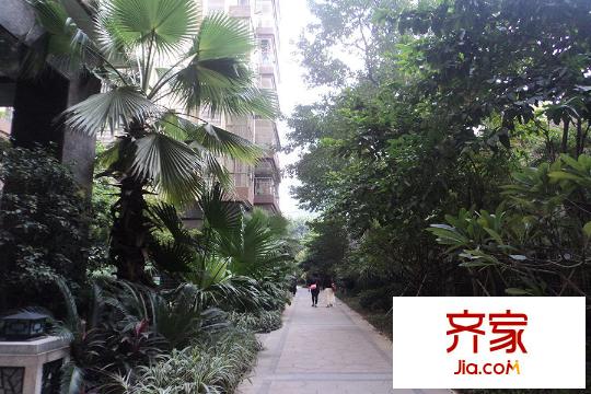 龙津华府(2015.3.27)