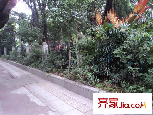 流花君庭项目附近环境(距离项目200米内)