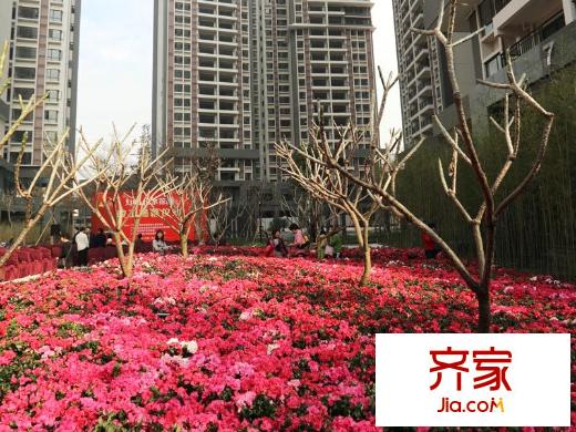 汾水花园小区(2014-3-18)