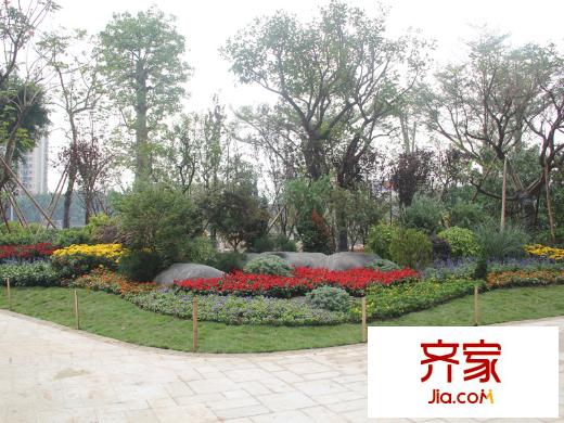 中信西关海园林实景(2013-05)