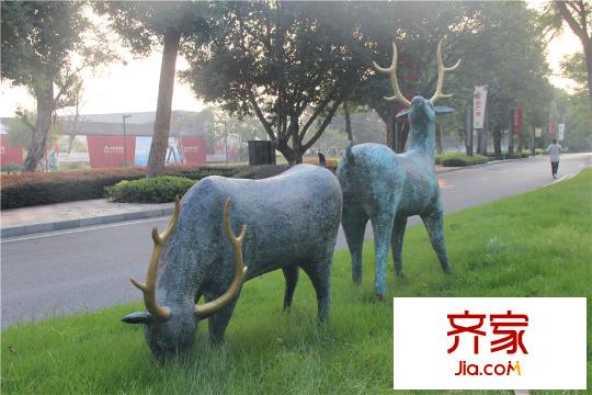 中信西关海小区园林(2015-9-25)