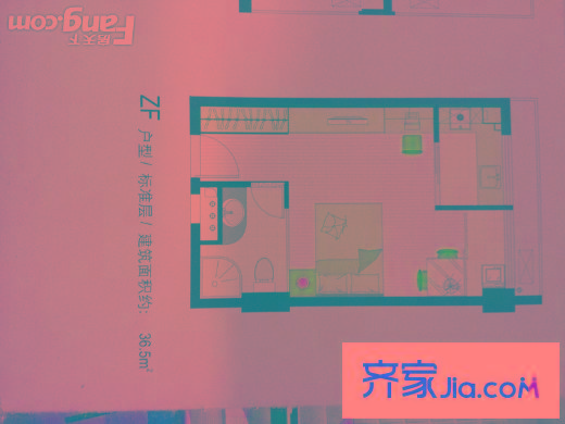 常青藤單身公寓 1室1廳戶型圖