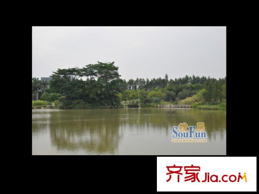 奥园养生广场配套图南区公园