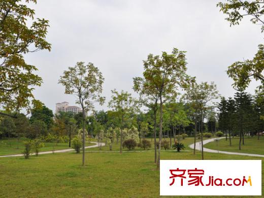 奥园养生广场配套图南区公园
