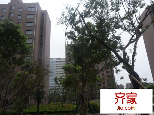 金邑華庭外景圖
