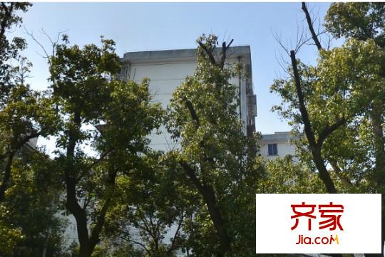 東方花園外景圖6