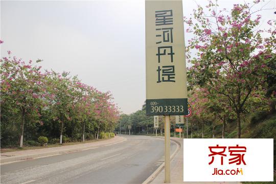 广州星河丹堤(2014-03)