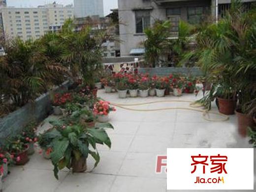 龟岗大马路小区外景图