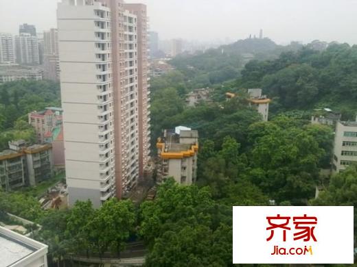 国龙大厦外景图