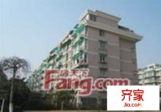 柳汀春曉外景圖8