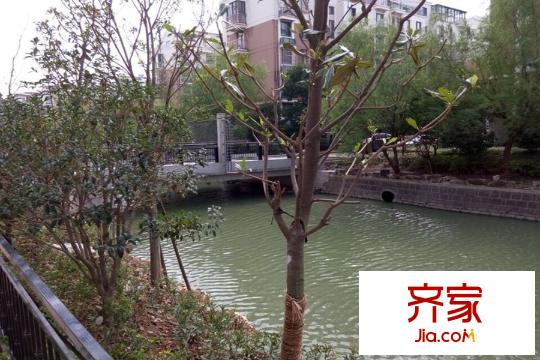 香河灣河道（2015-9-29）